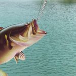 Fish Hook Remover, 4pcs Fishing Hook Quick Removal Device, Security Extractor Fishhook Disconnect Removal Tool for Fishing - Image 2